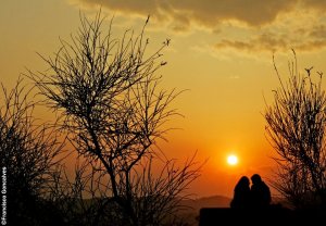 Francisco Goncalves Photo