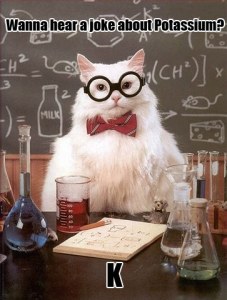 funny-teacher-cat-chemistry-joke