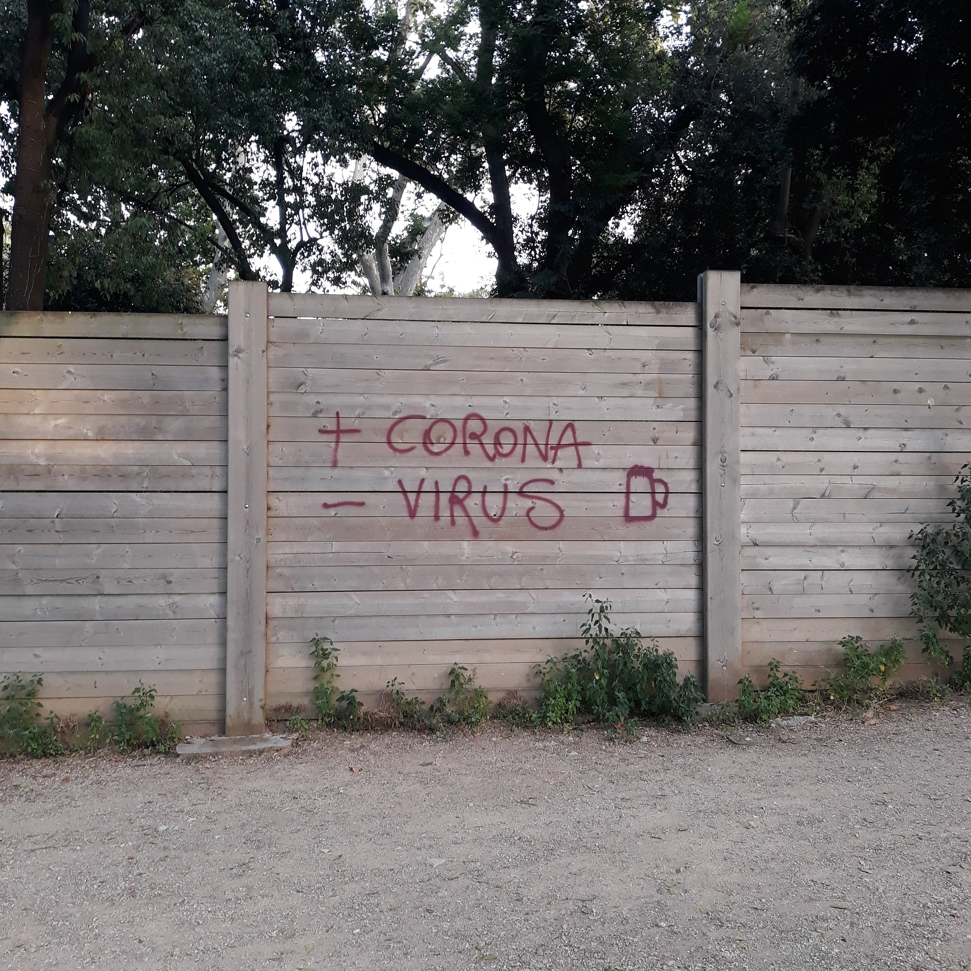 IMG_20200710_140905_382