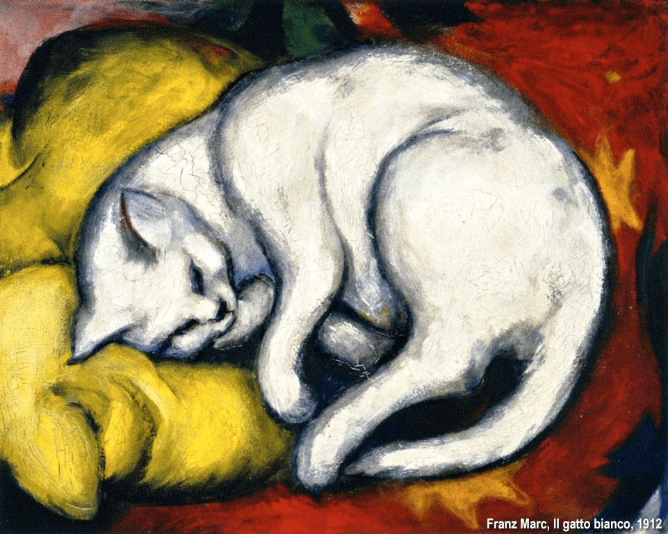 Dove "sembro più io", ma ormai lo so già. 